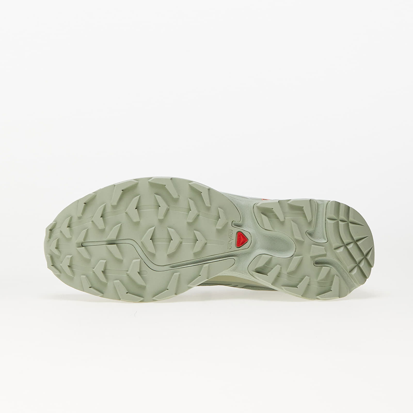 XT-6 Gore-Tex Desert Sage Lily Pad