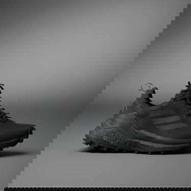 Tenisky a topánky adidas Performance Terrex Free Hiker 2.0 Low GTX Čierna | IE7657, 0
