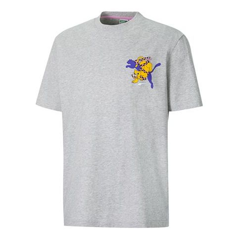 Tričko Puma Aka Boku Graphic Print T-Shirt Šedá | 530222-04