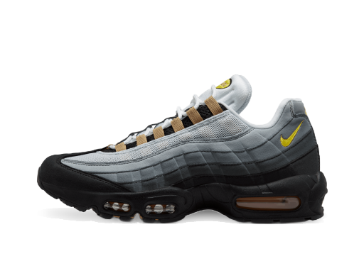Tenisky a topánky Nike Air Max 95 Čierna | DX4236-100