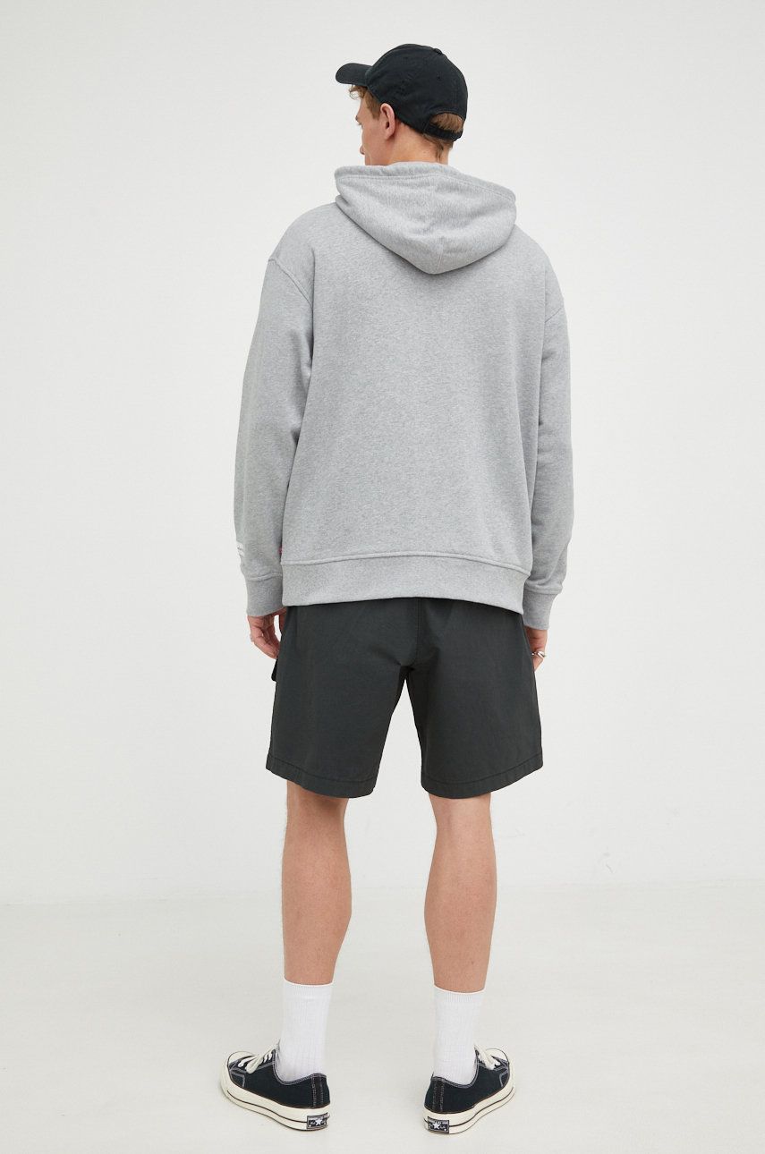 Mikina Levi's ® Relaxed Graphic Hoodie Šedá | 38479.0117, 1