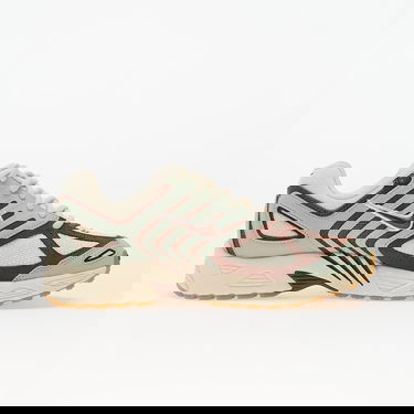 Tenisky a topánky Nike Air Pegasus 2005 SE Hnedá | IB2982-001, 2