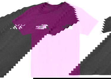 Tričko KAWS KAWS x The North Face Youth T-Shirt Modrá | NF0A7WLO, 1