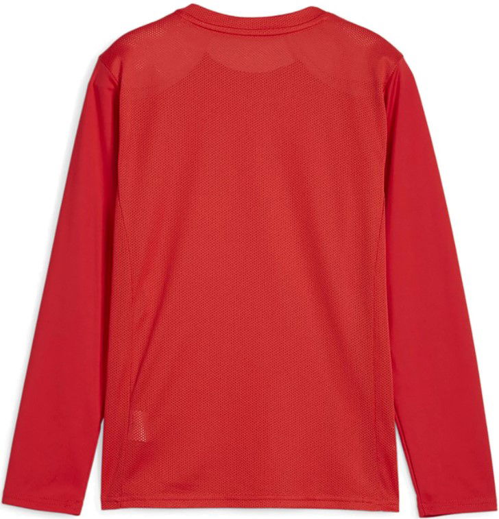 Dres Puma teamGOAL LS Jersey Jr Long Sleeve T-Shirt Červená | 705751-01, 1