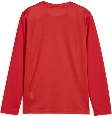 Dres Puma teamGOAL LS Jersey Jr Long Sleeve T-Shirt Červená | 705751-01, 1