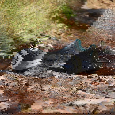 Tenisky a topánky adidas Performance adidas TERREX Boty Tracefinder Trail Running Čierna | IE5909, 4