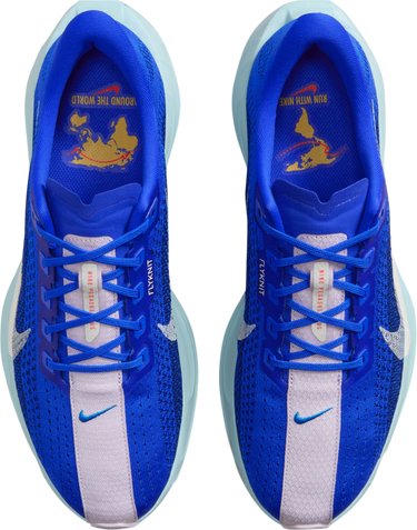 Tenisky a topánky Nike Pegasus Plus Premium Modrá | hq1719-400, 2