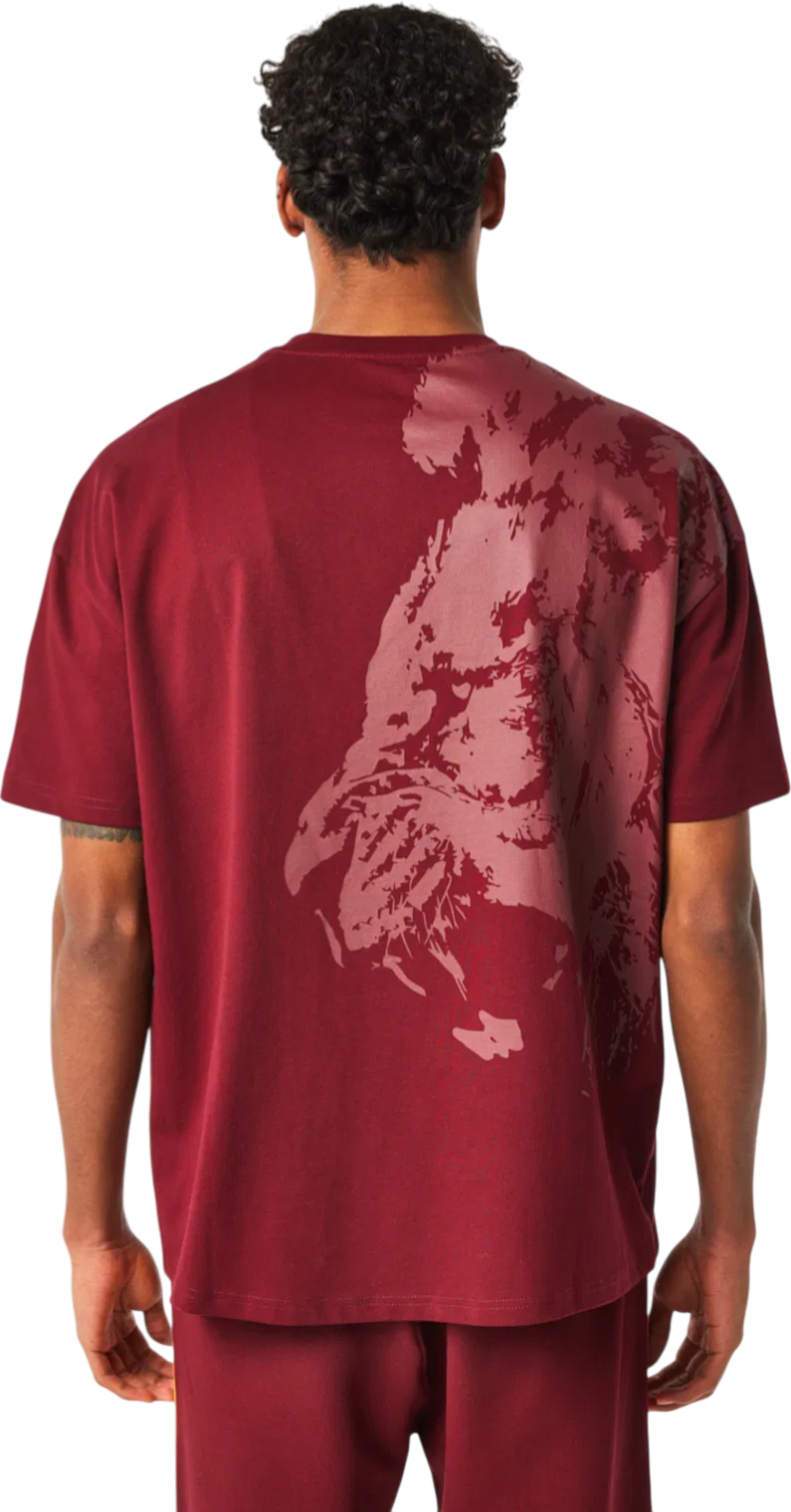 Tričko Puma Galatasaray Istanbul Graphic T-Shirt Vínová | e251058-100, 1