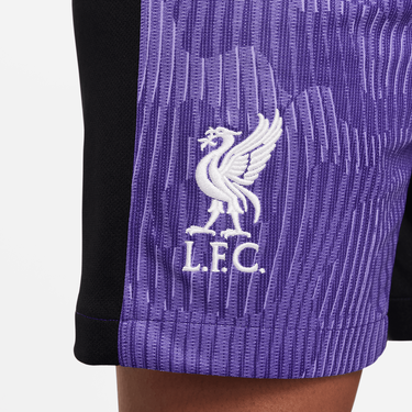 Šortky Nike Liverpool FC 2023/24 Third Stadium Shorts Fialová | dx9856-567, 2