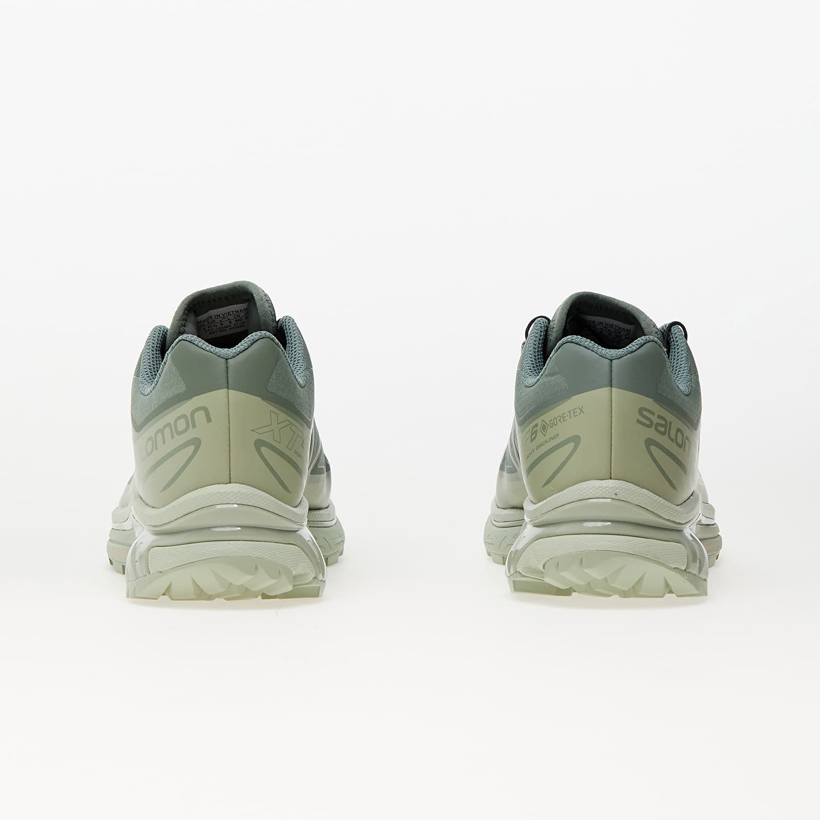 XT-6 Gore-Tex Desert Sage Lily Pad