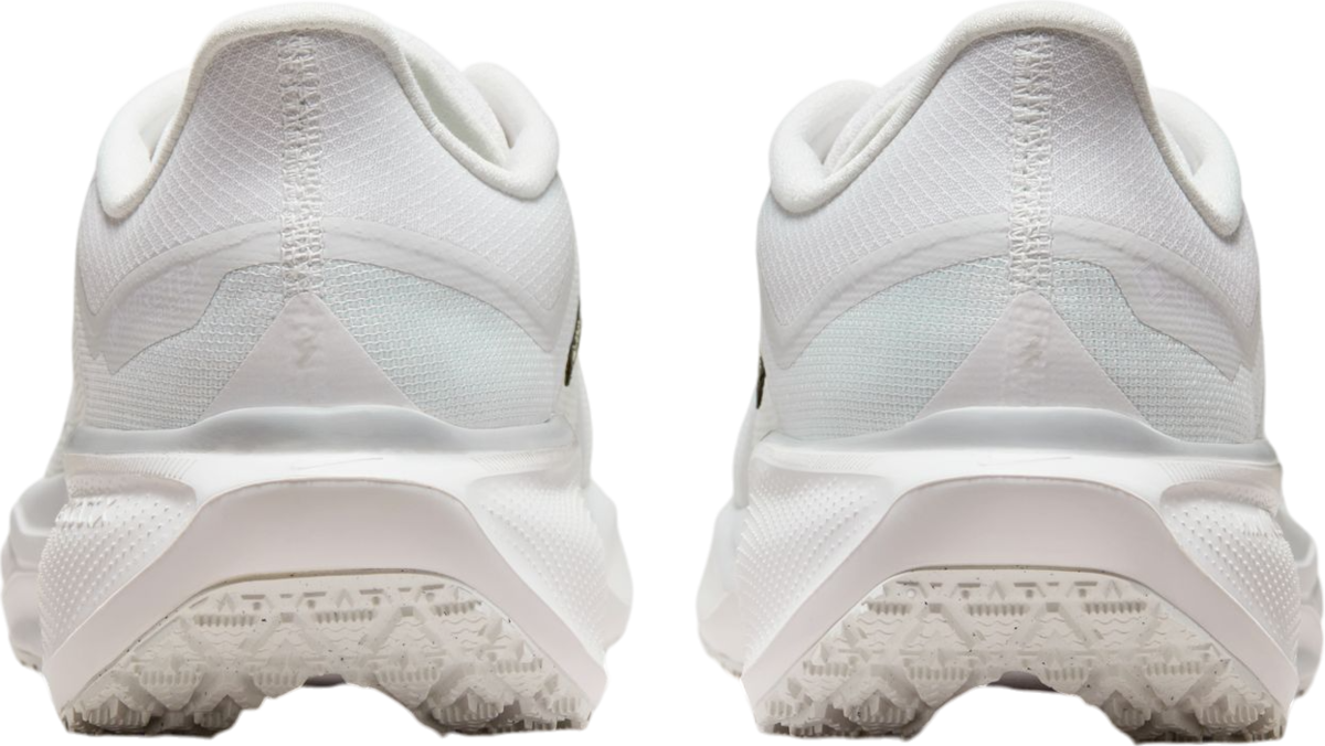 Tenisky a topánky Nike Pegasus 41 GORE-TEX Biela | fq1356-101, 1
