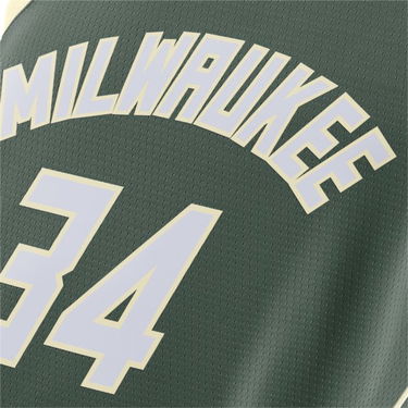 Dres Nike Giannis Antetokounmpo Bucks Icon Edition 2020 NBA Swingman Zelené | CW3672-329, 1