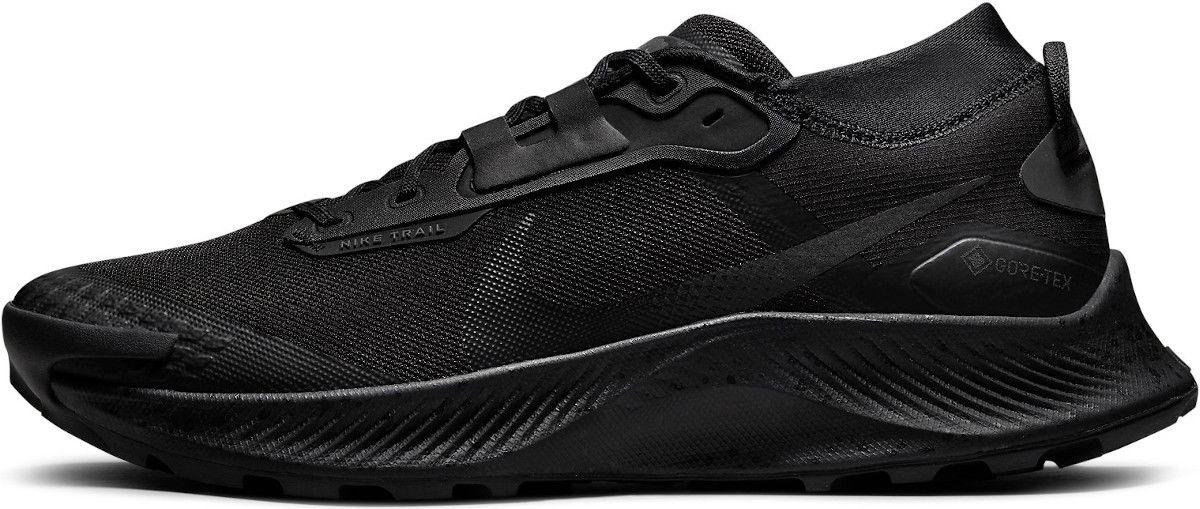Tenisky a topánky Nike Pegasus Trail 3 GTX Čierna | dc8793-001, 0