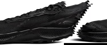 Tenisky a topánky Nike Pegasus Trail 3 GTX Čierna | dc8793-001, 0