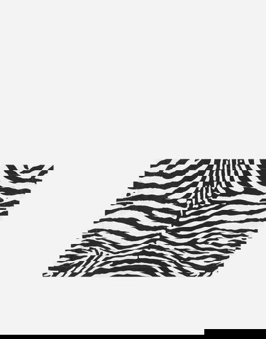 Home decor Dolce & Gabbana Set 2 Cotton Sateen Zebra Print Pillowcases Rôznofarebný | TCES02TCAKFUZ003, 0