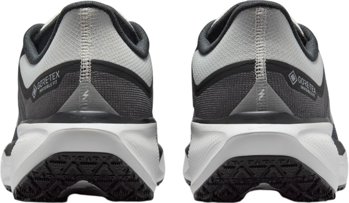 Tenisky a topánky Nike Pegasus 41 GORE-TEX Čierna | fq1356-002, 1