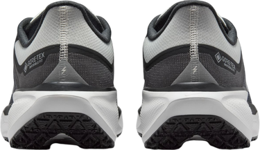 Tenisky a topánky Nike Pegasus 41 GORE-TEX Čierna | fq1356-002, 1