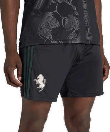 Šortky adidas Performance Juventus 25/26 Third Shorts Čierna | KC3458, 2