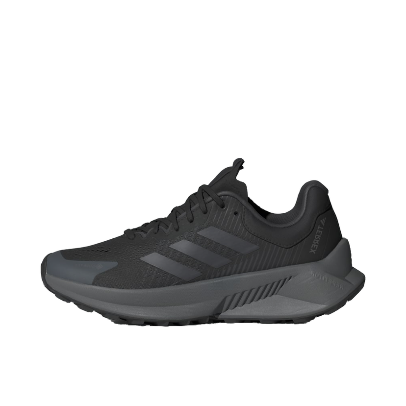 Tenisky a topánky adidas Performance Terrex Soulstride Flow Gore-Tex Čierna | JI1675