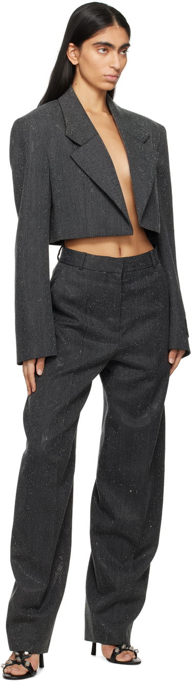 Bunda Alexander Wang Cropped Glitter Blazer Šedá | 1WC1252619, 3