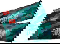 SmellWell Active XL Shoe Deodorizer