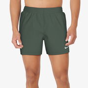 Nike 5" Volley Swim Shorts