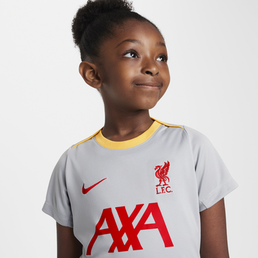 Dres Nike Liverpool FC Academy Pro Dri-FIT Short Sleeve T-Shirt Šedá | FQ2777-078, 2