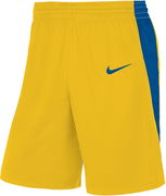 Nike Team Basketball Shorts