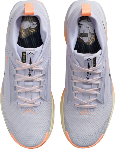 Tenisky a topánky Nike Pegasus Trail 5 GORE-TEX Rôznofarebný | fq0912-011, 2