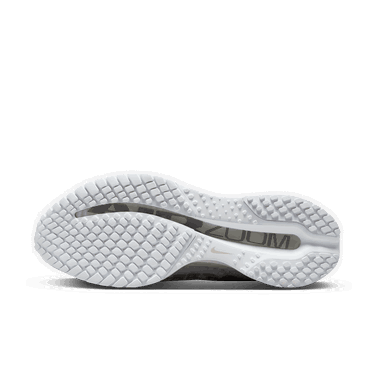 Tenisky a topánky Nike Air Zoom Pegasus Premium White Metallic Silver Biela | HQ2592-102, 2