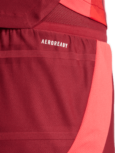 Šortky adidas Performance Germany Authentic Team Shorts Červená | JF2609, 3