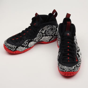 Tenisky a topánky Nike Air Foamposite One Čierna | 314996-101, 2