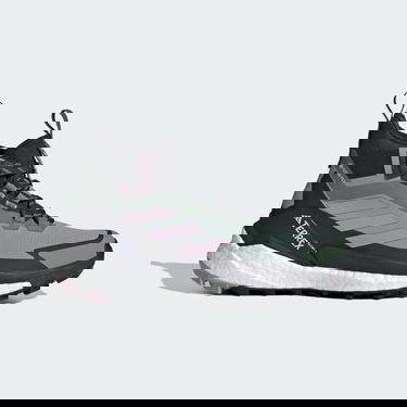 Tenisky a topánky adidas Performance adidas TERREX FREE HIKER 2.0 GORE-TEX Šedá | IE5134, 1