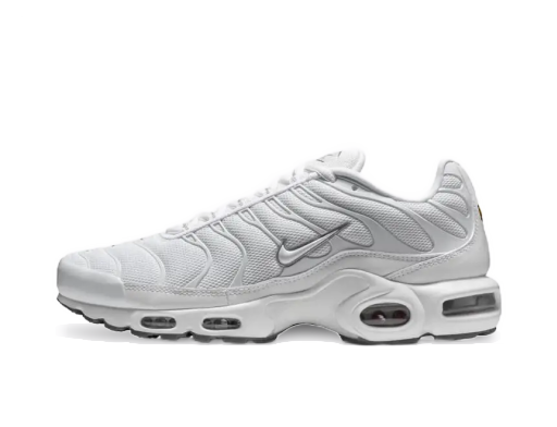 Tenisky a topánky Nike Air Max Plus Biela | 604133-139