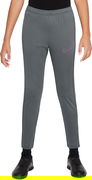 Nike Academy Dri-FIT Pants
