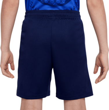 Šortky Nike PSG Strike Shorts Modrá | hj7880-410, 1