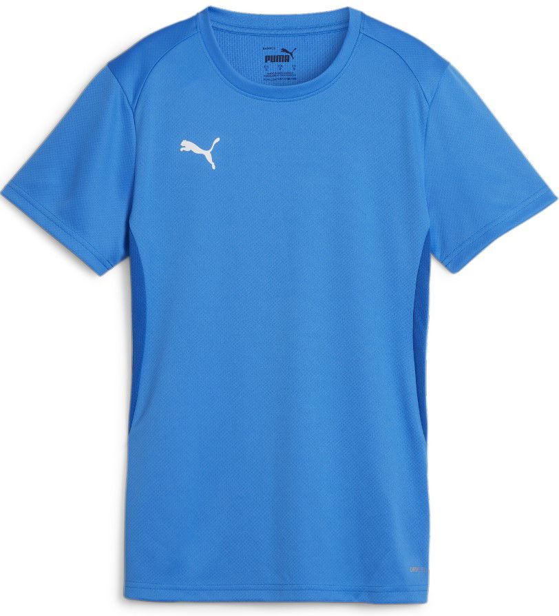 Dres Puma teamGOAL Jersey W Modrá | 658638-02, 0