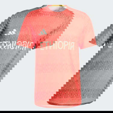 Dres adidas Performance Team Ethiopia HEAT.RDY Training Červená | IW3916, 3