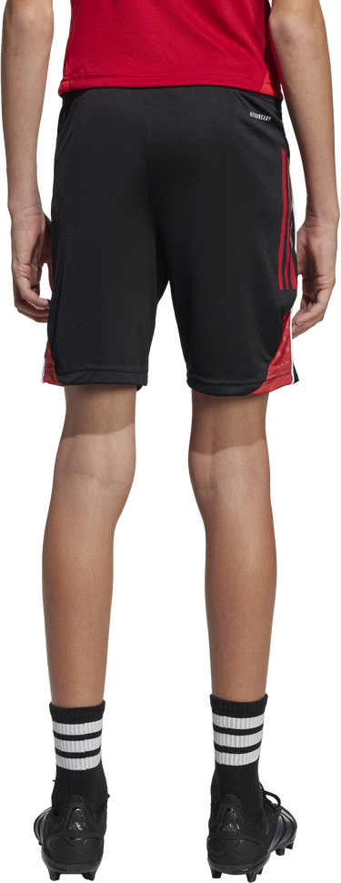 Šortky adidas Originals Adidas TIRO25C TR Training Shorts Navy | ji6487, 4