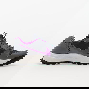 Tenisky a topánky Nike ACG Lowcate "Smoke Grey" Šedá | DX2256-002, 3