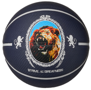 Playground 8P L James Strive for Greatness Basketball