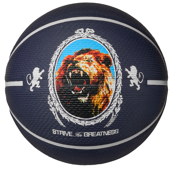 Športový doplnok Nike Playground 8P L James Strive for Greatness Basketball Navy | 901738-10155