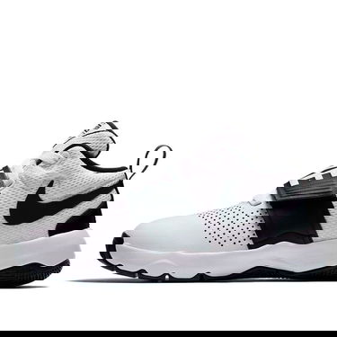 Tenisky a topánky Nike Team Hustle D8 Biela | 881941-100, 0