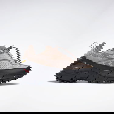Tenisky a topánky Reebok Zig Kinetica 2.5 Edge Béžová | HR1301, 0