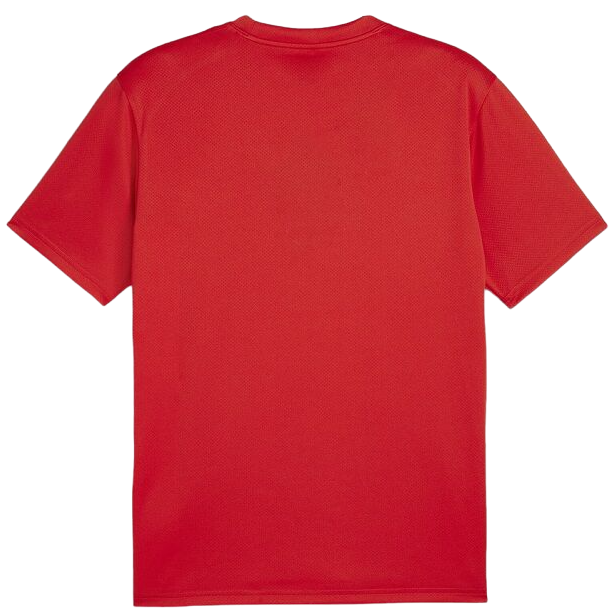Tričko Puma teamGOAL T-Shirt Červená | 658636-01, 1