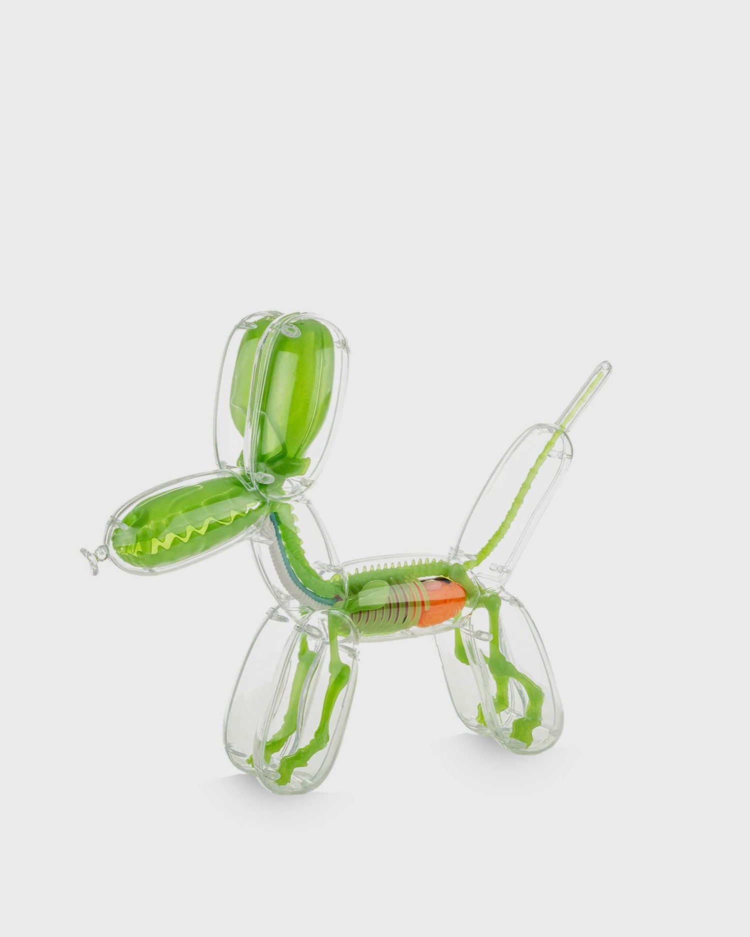 Doplnky Mighty Jaxx Balloon Dog Anatomy By Jason Freeny Toys Zelené | 641489936024, 0