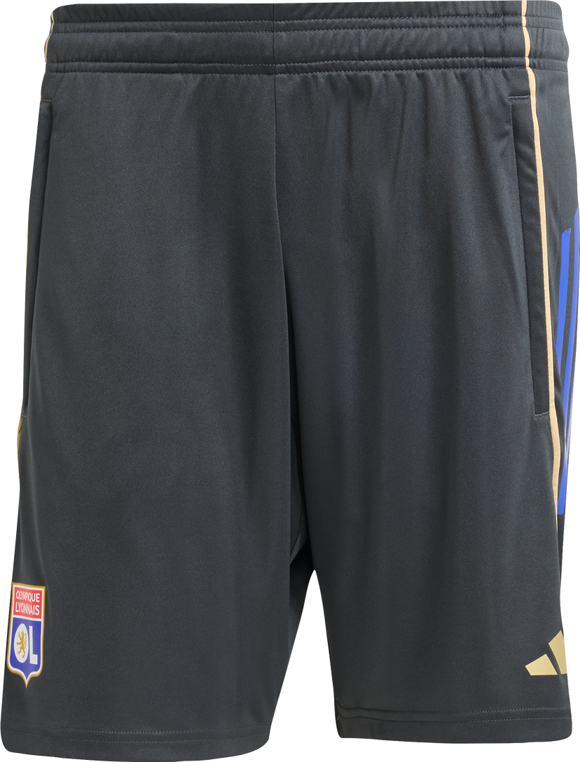 Šortky adidas Originals Olympique Lyonnais Training Shorts 2025/26 Šedá | jl9410