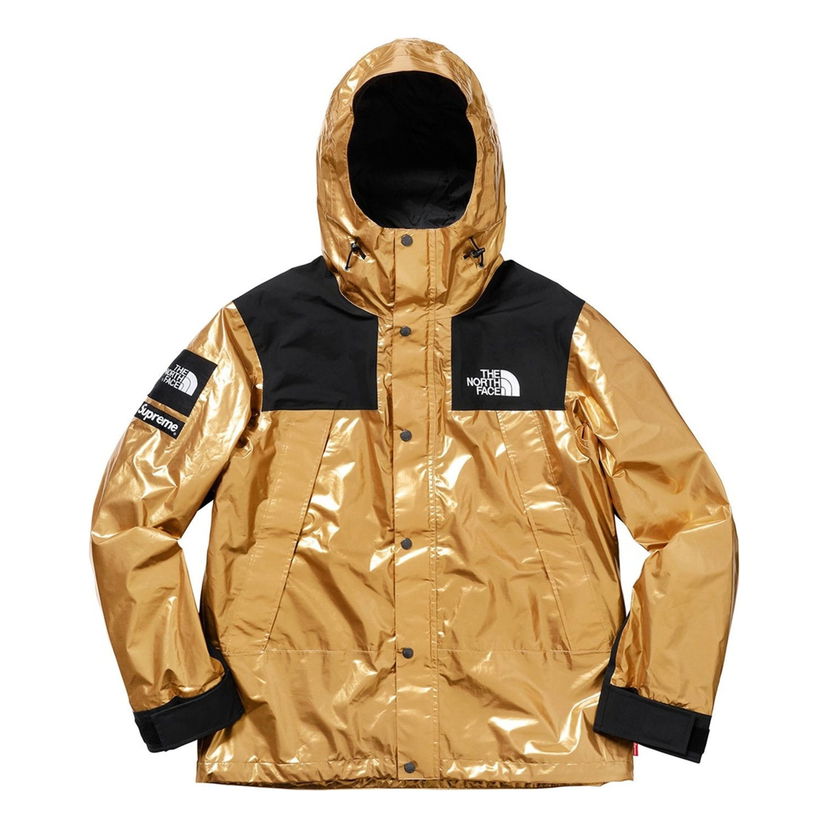 Parka Supreme The North Face Metallic Mountain Parka Metalická | SUP-SS18-604