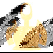 The North Face Metallic Mountain Parka