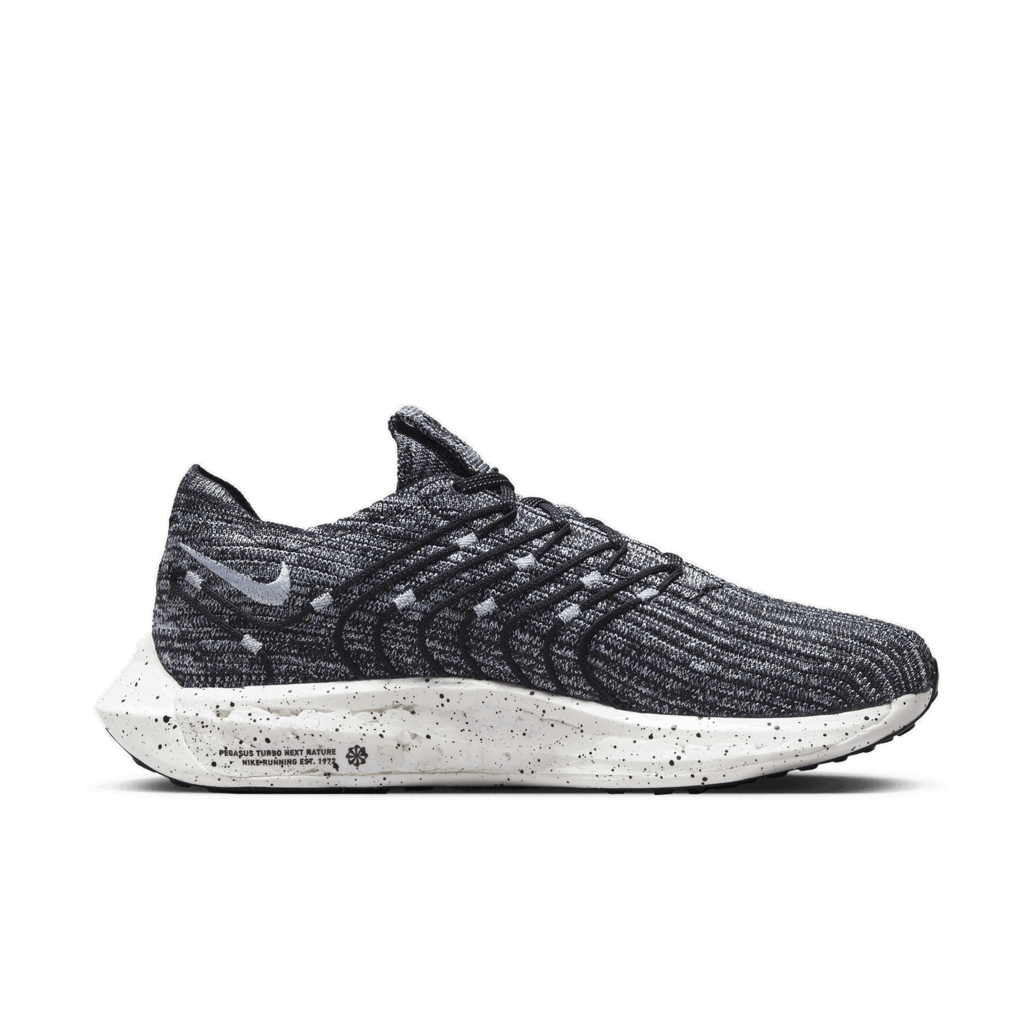 Tenisky a topánky Nike Pegasus Turbo W Šedá | DM3414-005, 1